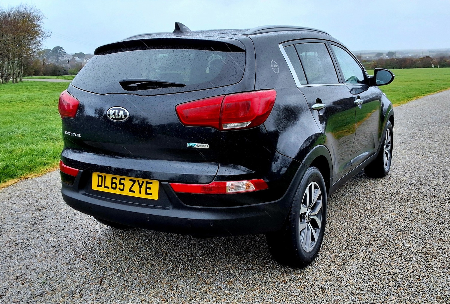 Used Kia Sportage 2016 for sale - 77681175: Photo 12