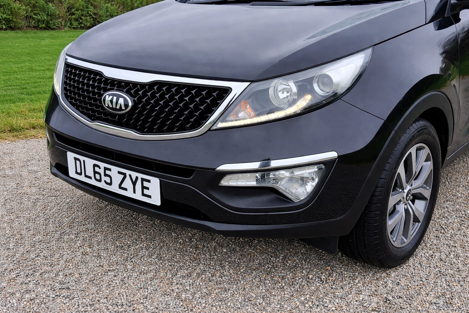 Used Kia Sportage 2016 for sale - 77681175: Photo 14