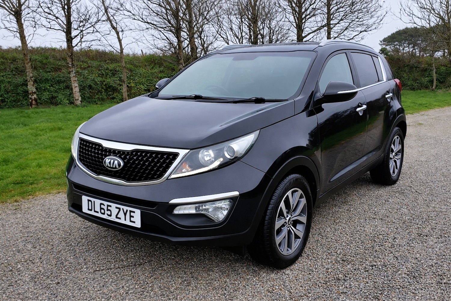 Used Kia Sportage 2016 for sale - 77681175: Photo 2