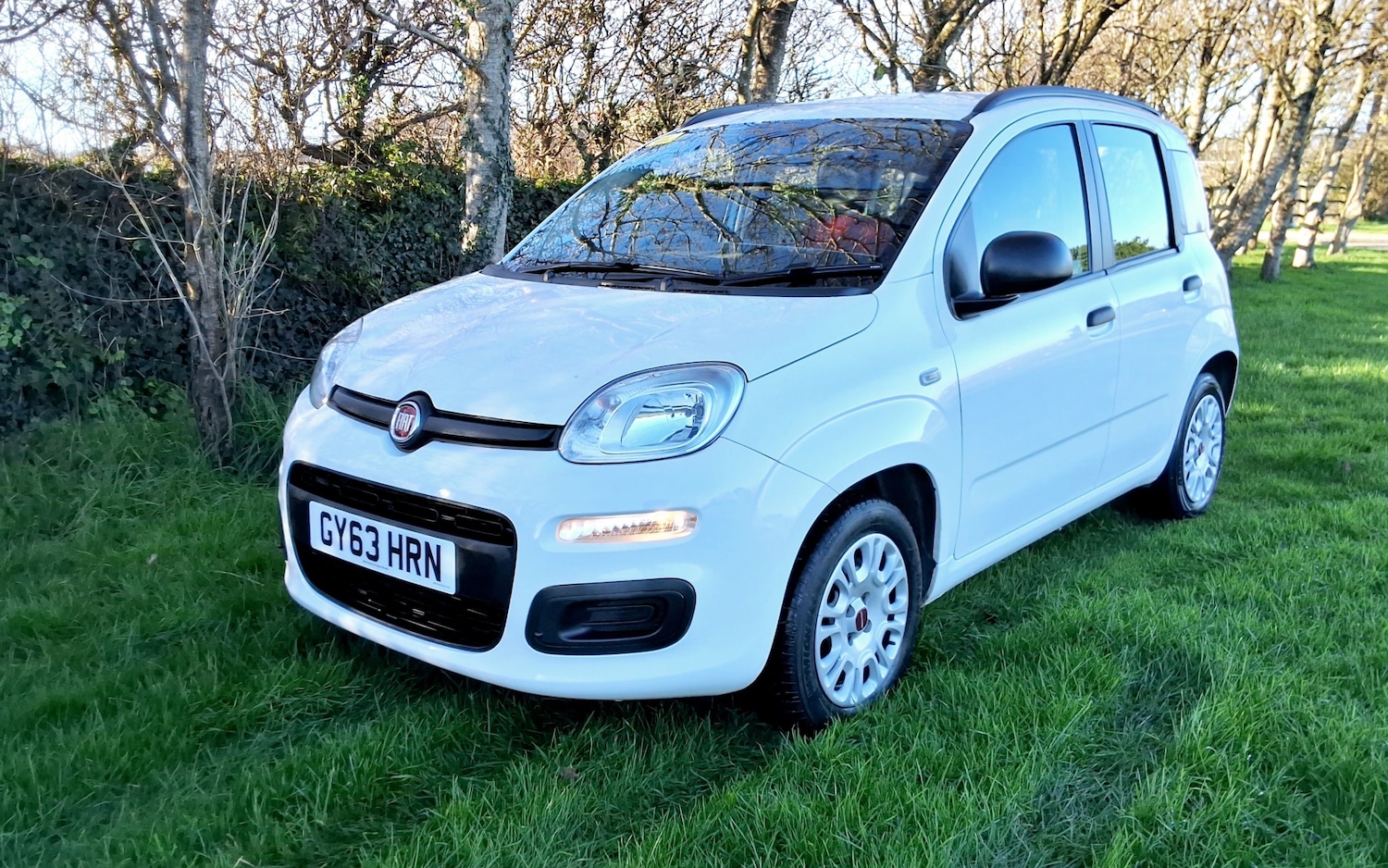Used Fiat Panda 2014 for sale - 76932312: Photo 2