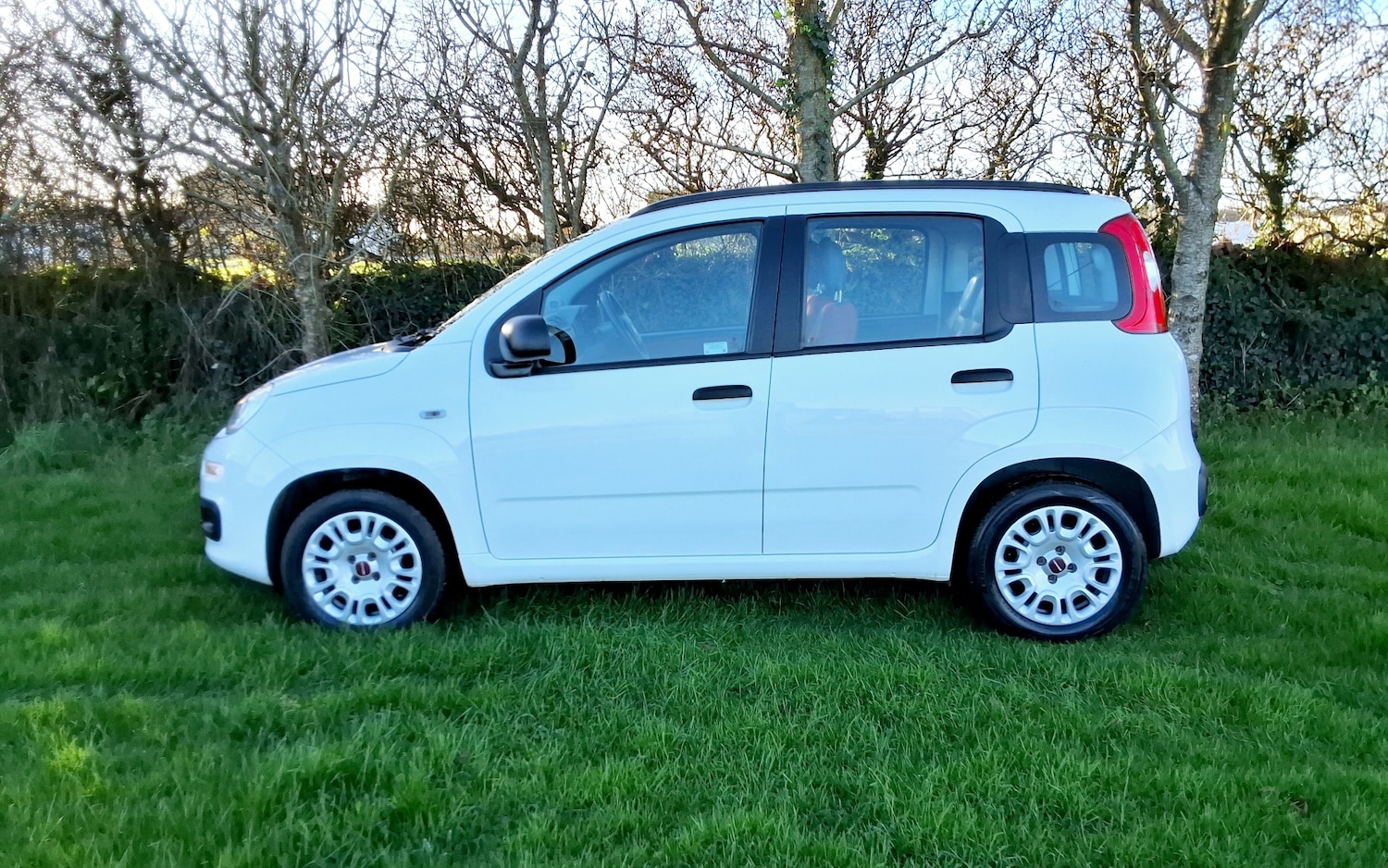 Used Fiat Panda 2014 for sale - 76932312: Photo 3