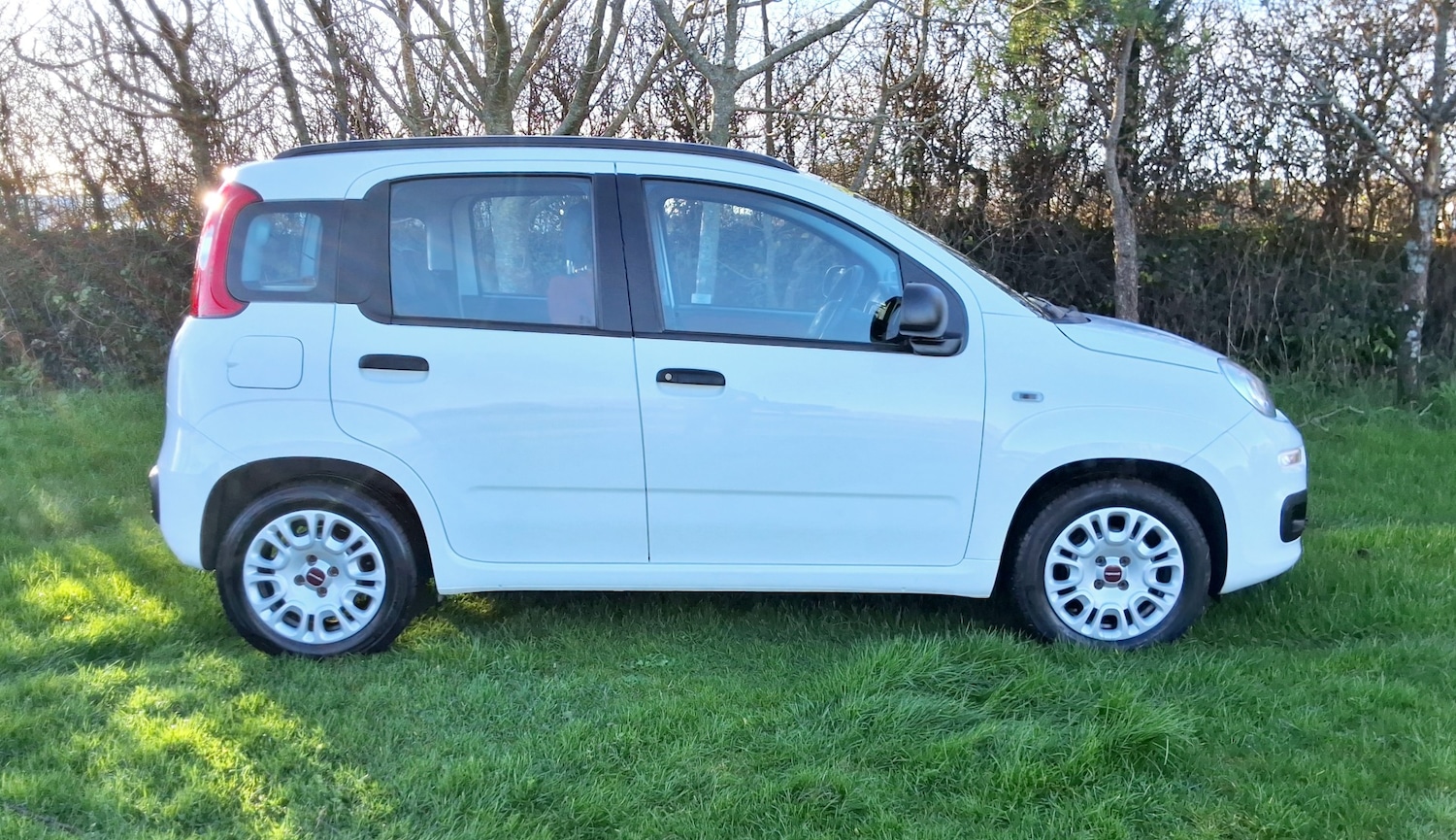 Used Fiat Panda 2014 for sale - 76932312: Photo 4
