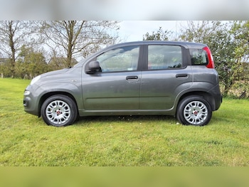 Used Fiat Panda 2017 for sale - 78460023: Photo