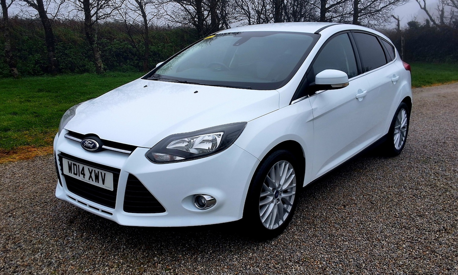 Used Ford Focus 2014 for sale - 77508019: Photo 3