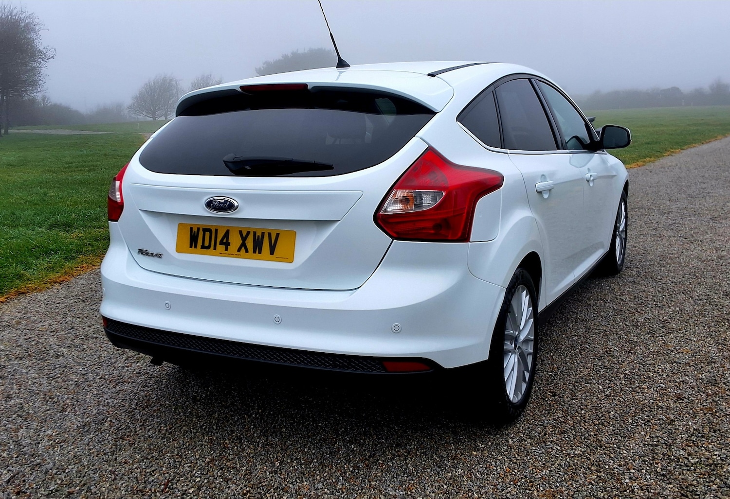 Used Ford Focus 2014 for sale - 77508019: Photo 6