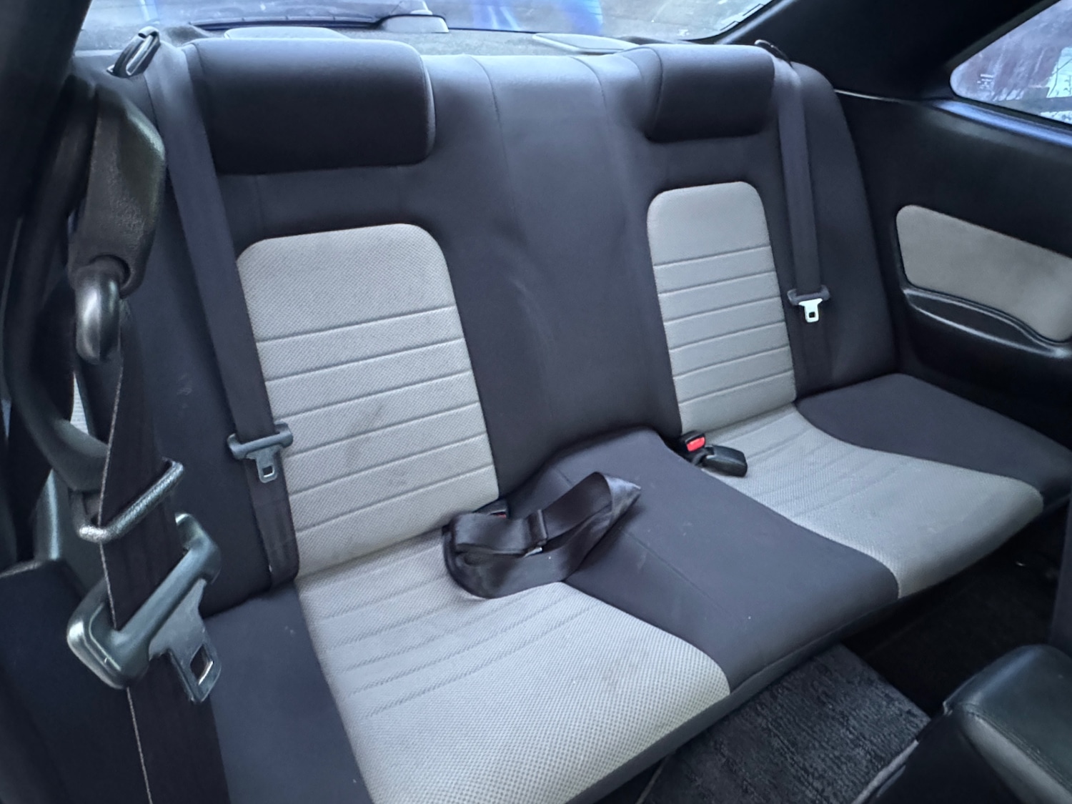 Used Nissan Skyline 1998 for sale - 77264283: Photo 28