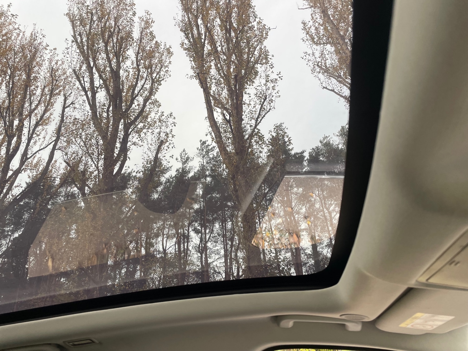 Used Jaguar XF 2023 for sale - 76363952: Photo 15