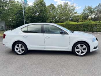 Used Skoda Octavia 2019 for sale - 75225014: Photo