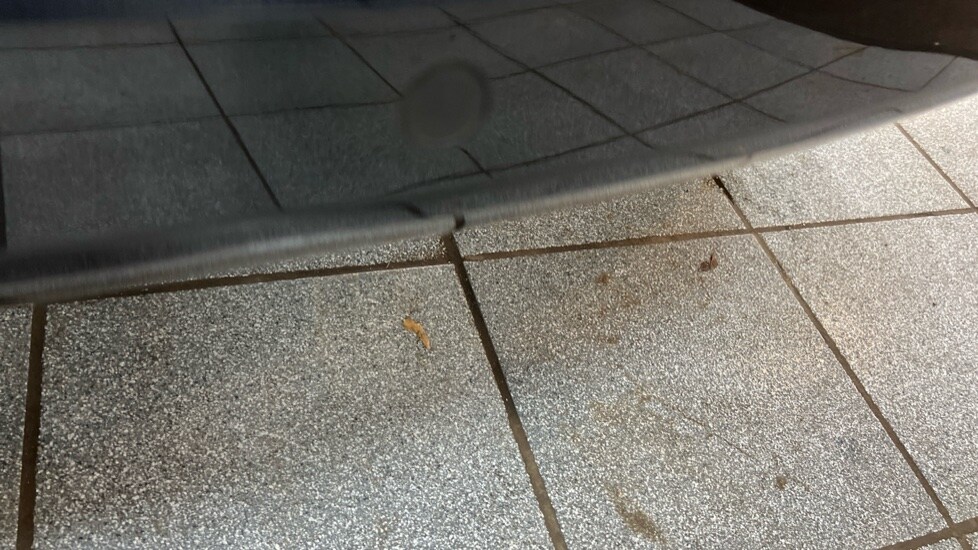 Used BMW i3 2022 for sale - 76586807: Photo 31