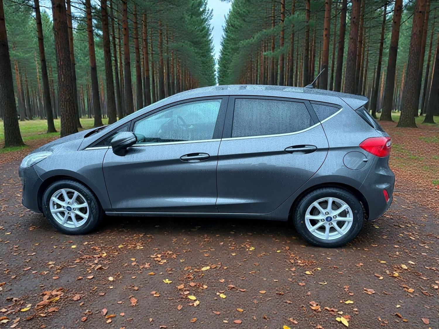 Used Ford Fiesta 2017 for sale - 77584854: Photo 13