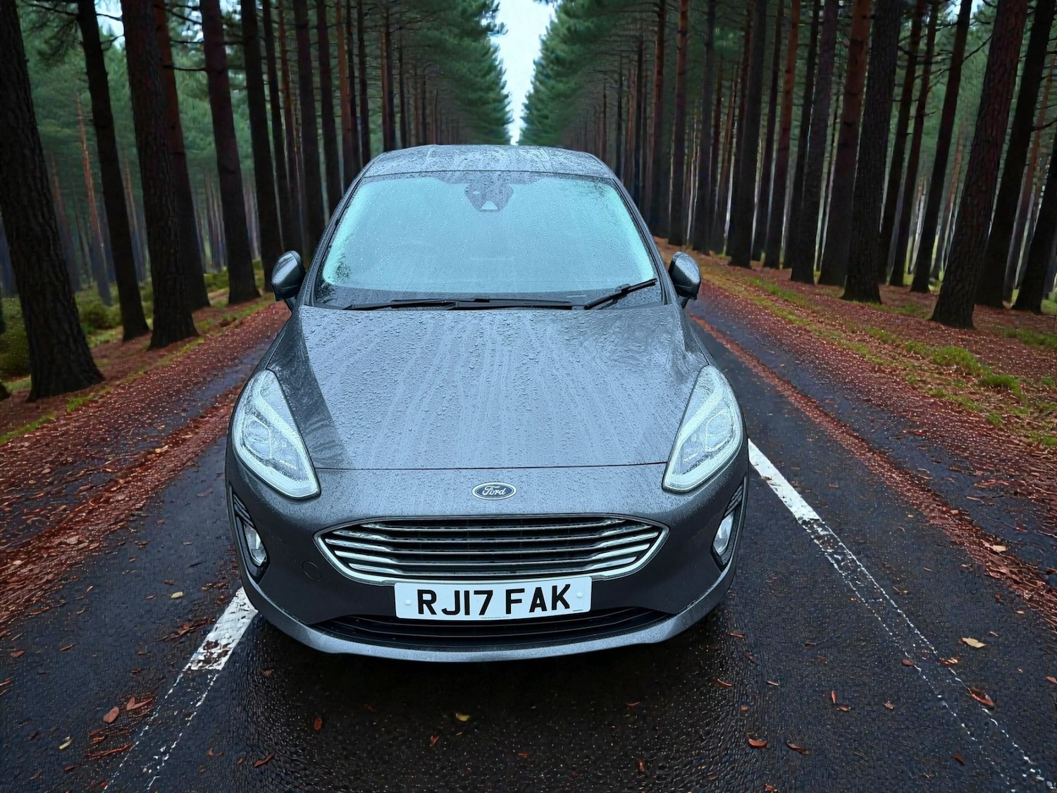 Used Ford Fiesta 2017 for sale - 77584854: Photo 3