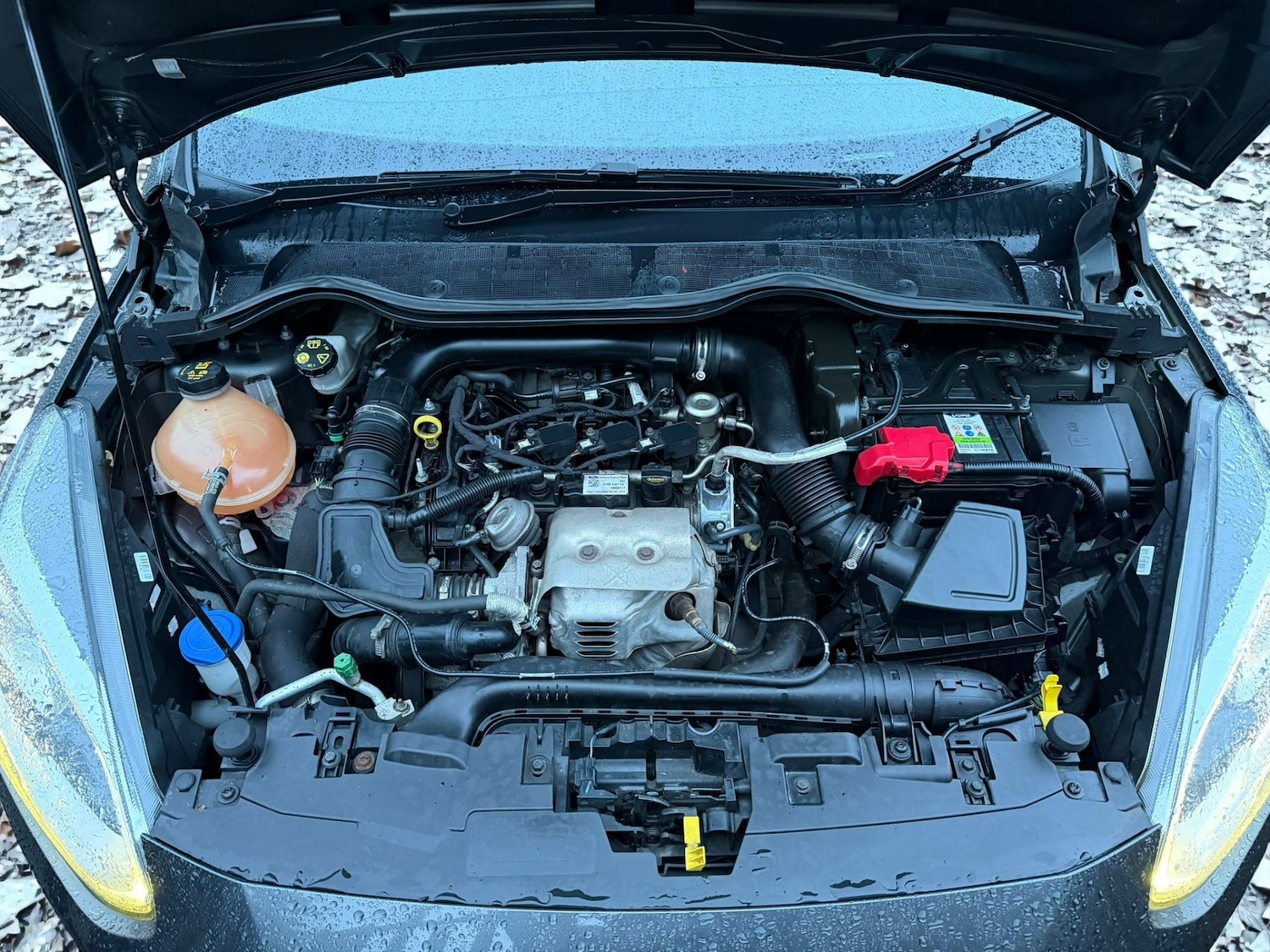 Used Ford Fiesta 2017 for sale - 77584854: Photo 30