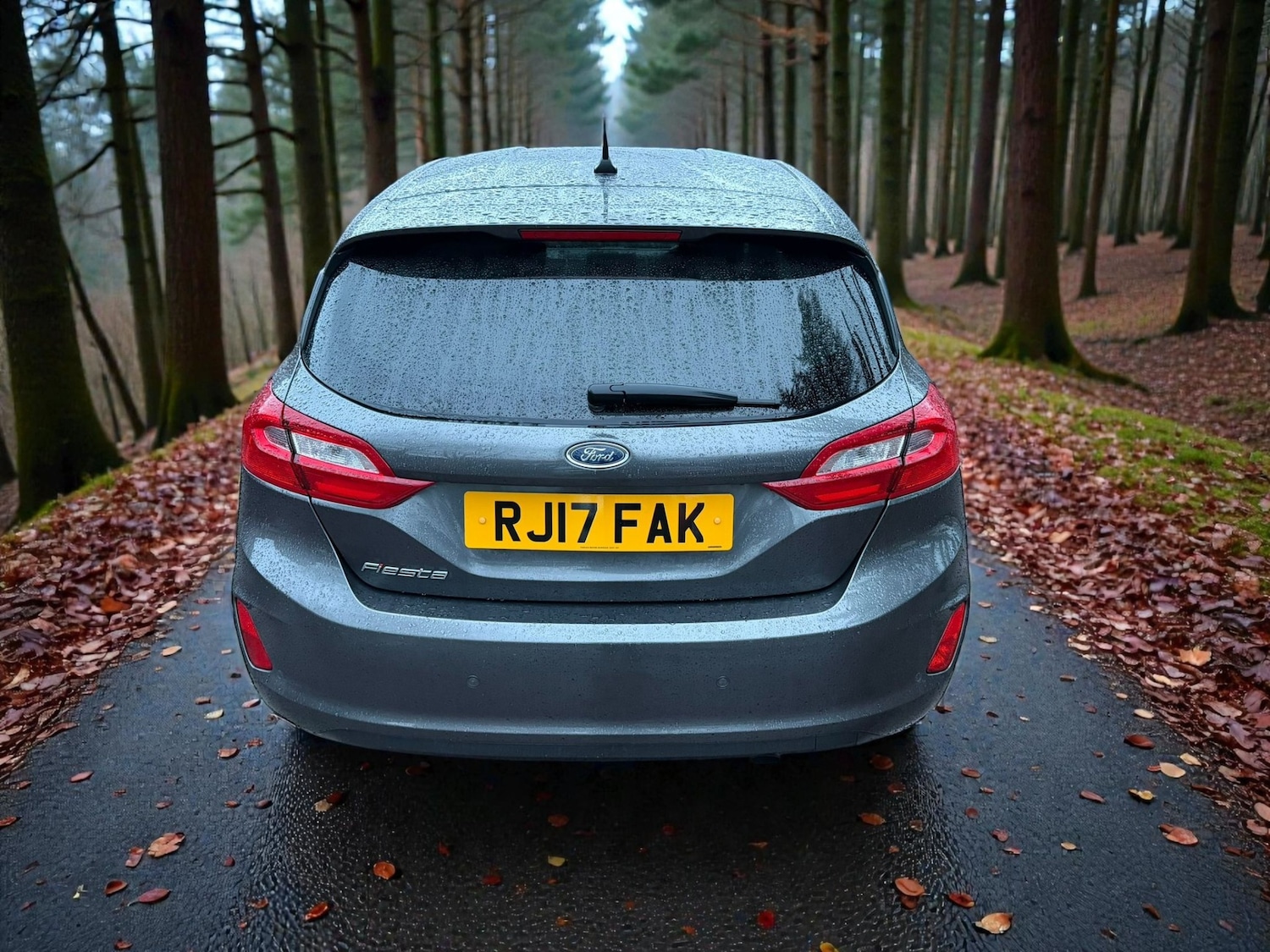 Used Ford Fiesta 2017 for sale - 77584854: Photo 9