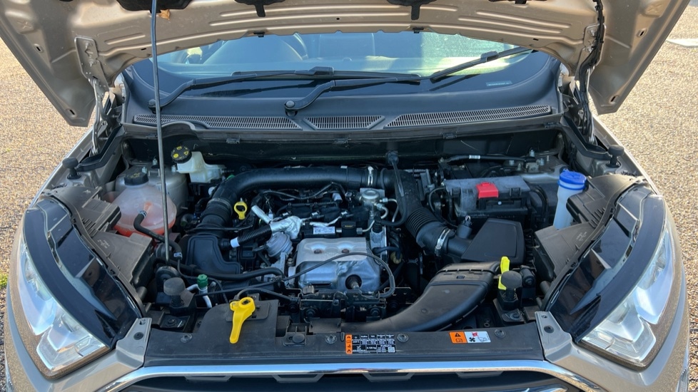 Used Ford Ecosport 2019 for sale - 76552405: Photo 16