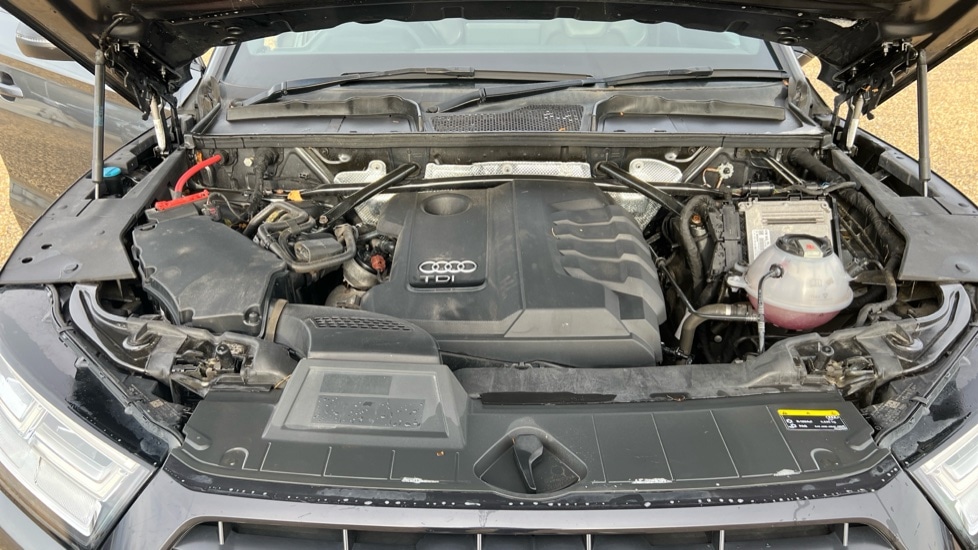 Used Audi Q5 2019 for sale - 76350828: Photo 16