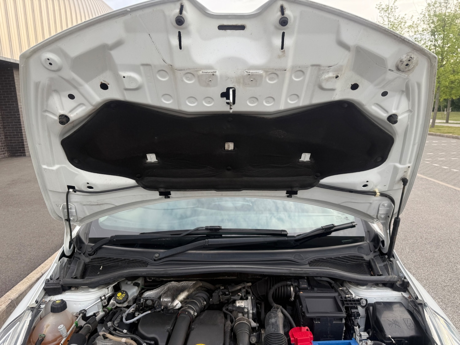 Vehicle 31