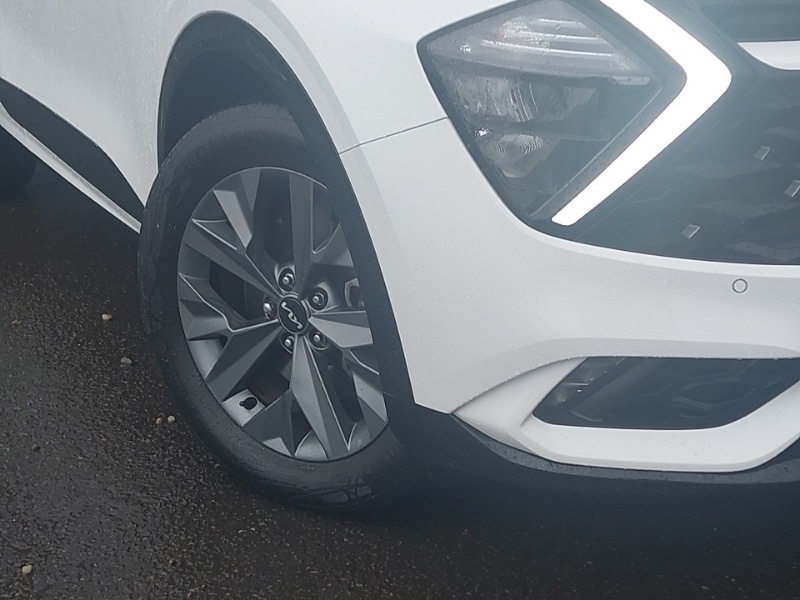 Used Kia Sportage 2025 for sale - 77913524: Photo 9