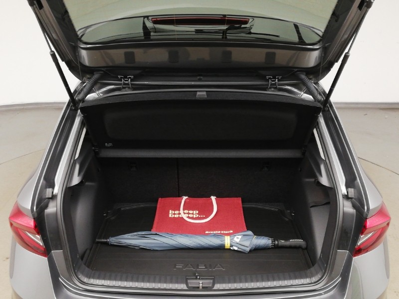 Used Skoda Fabia 2024 for sale - 77162636: Photo 8