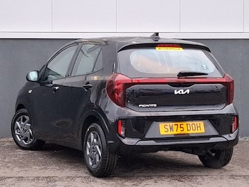 Used Kia Picanto 2025 for sale - 77503811: Photo