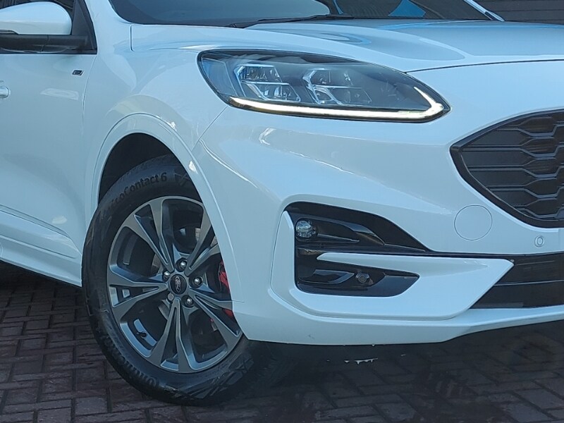 Used Ford Kuga 2024 for sale - 77790982: Photo 9