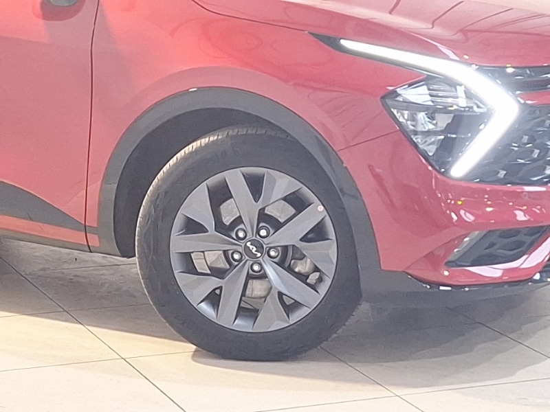 Used Kia Sportage 2025 for sale - 77304471: Photo 9