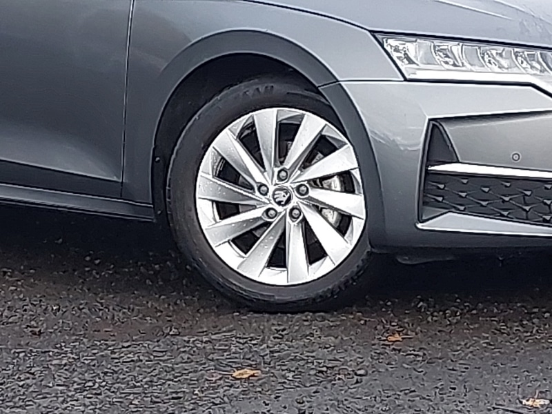 Used Skoda Octavia 2025 for sale - 76347776: Photo 9