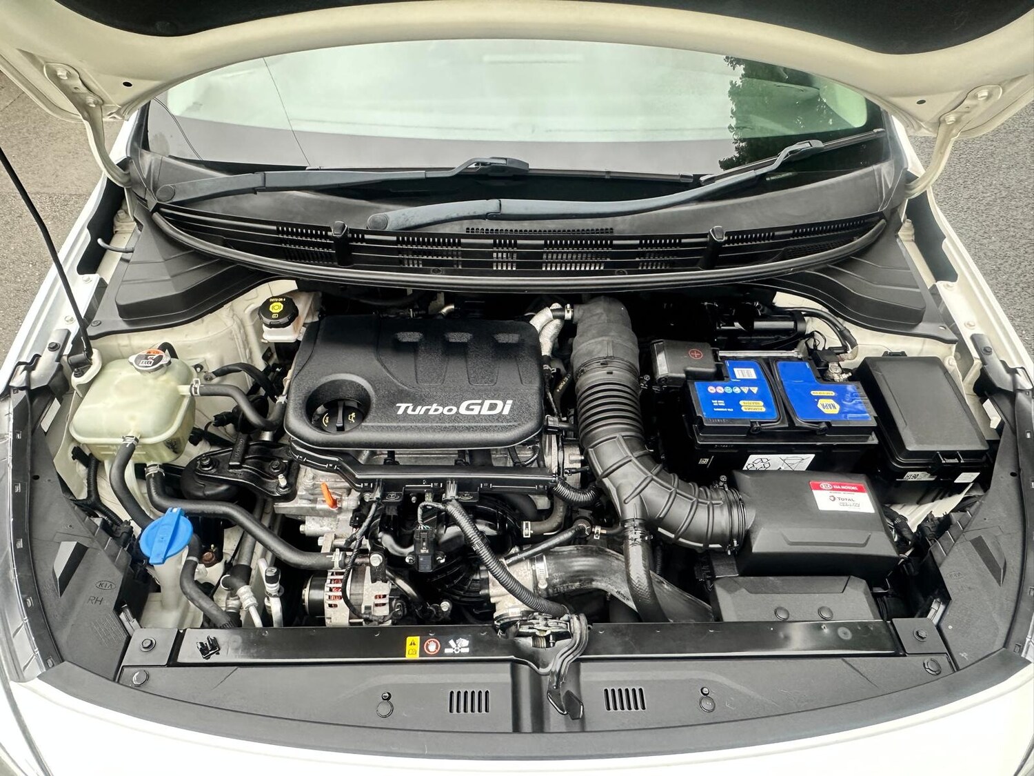 Used Kia Rio 2017 for sale - 77926673: Photo 11