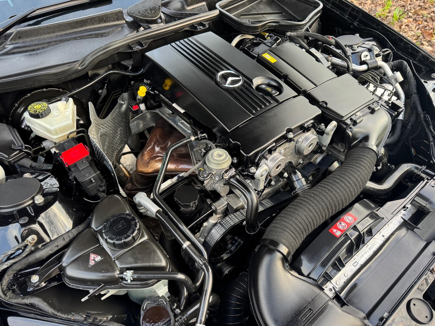 Used Mercedes-Benz SLK 2010 for sale - 77049849: Photo 23