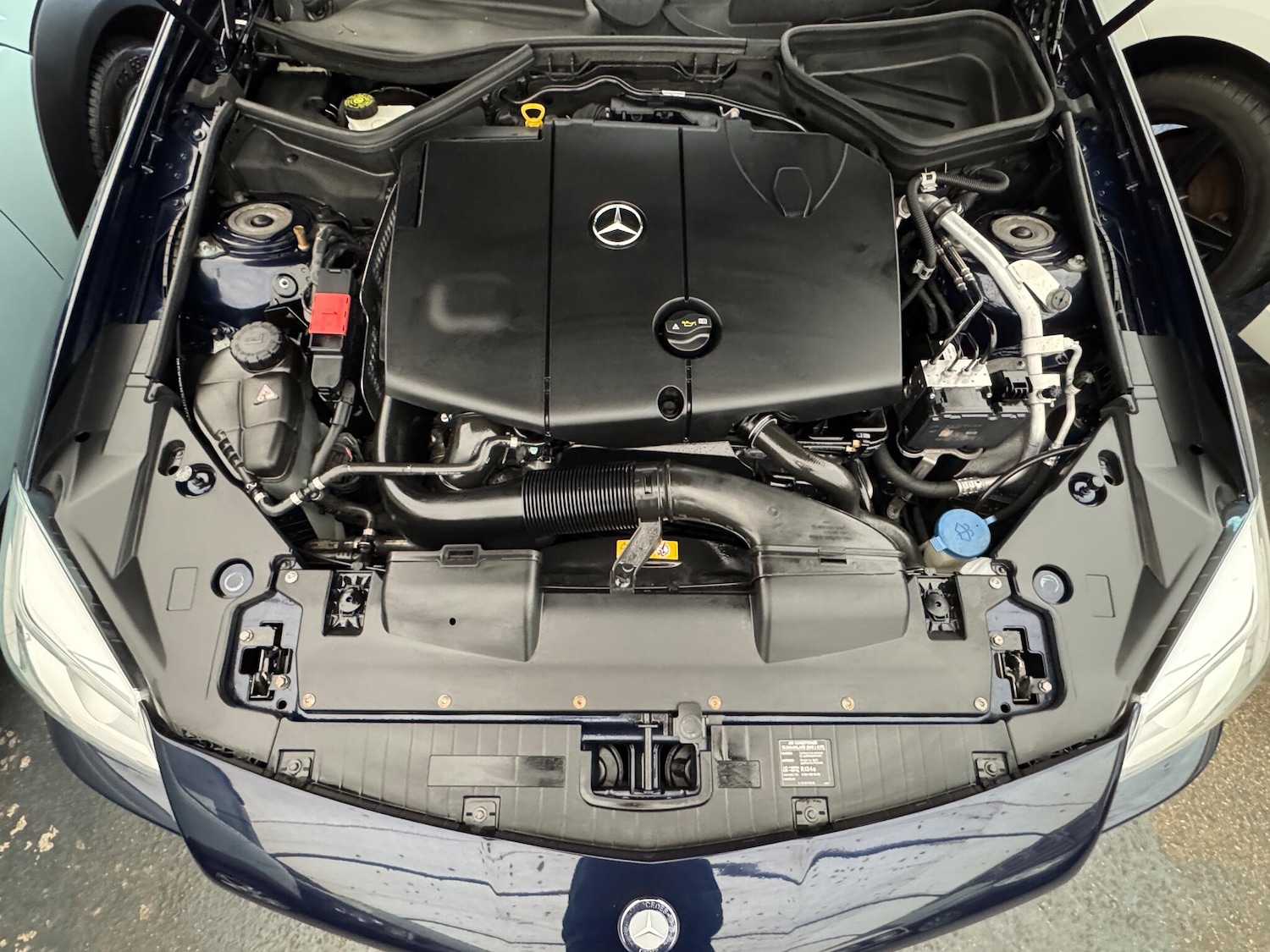 Used Mercedes-Benz SLK for sale - 76499441: Photo 30