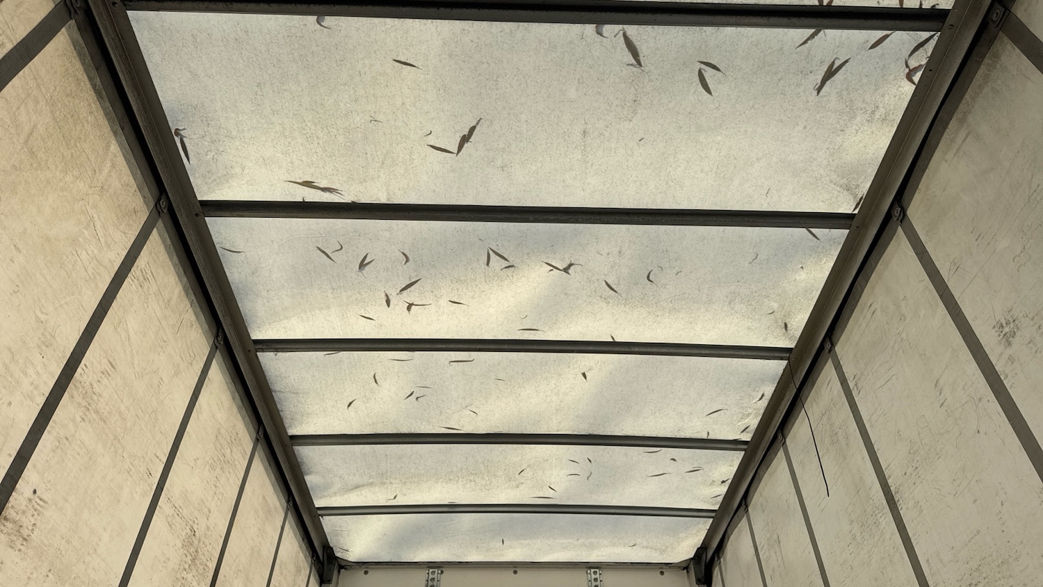 Used Mercedes-Benz Sprinter 2022 for sale - 77261083: Photo 15