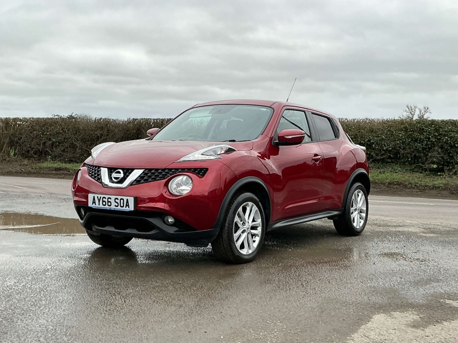 Used Nissan Juke 2016 for sale - 77643192: Photo 50