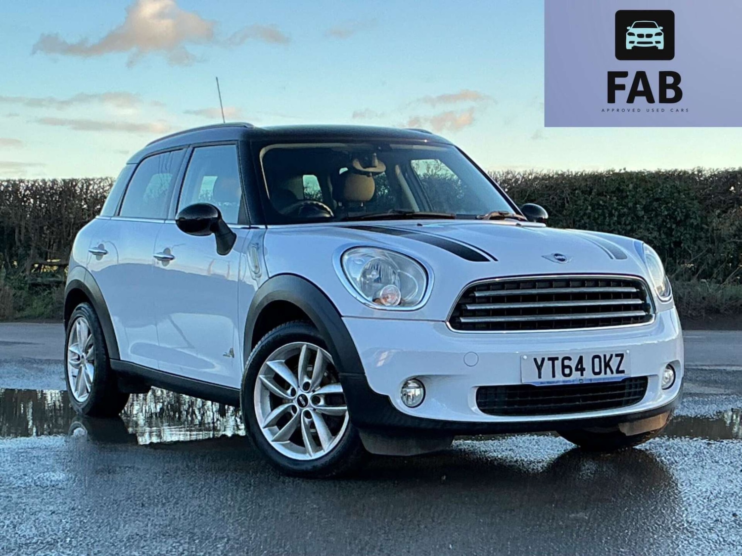 Used MINI Countryman 2014 for sale - 76858846: Photo 1