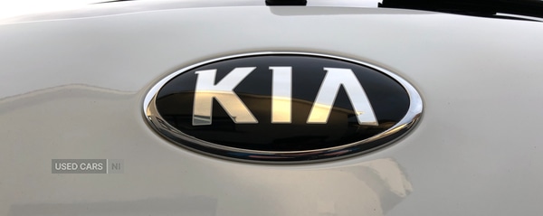 Used Kia Sportage 2014 for sale - 77784900: Photo 13