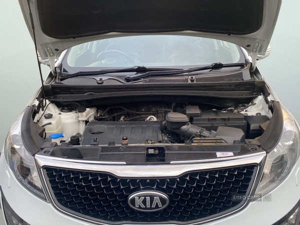 Used Kia Sportage 2014 for sale - 77784900: Photo 24