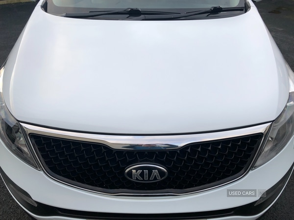 Used Kia Sportage 2014 for sale - 77784900: Photo 25