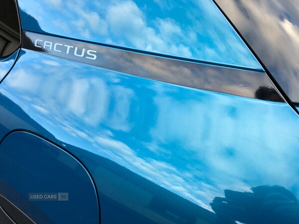 Used Citroen C4 Cactus 2019 for sale - 76597581: Photo 14