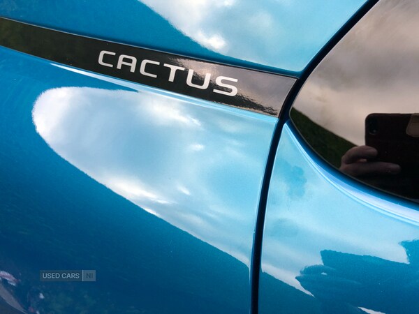 Used Citroen C4 Cactus 2019 for sale - 76597581: Photo 16