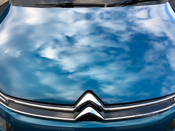 Used Citroen C4 Cactus 2019 for sale - 76597581: Photo 24