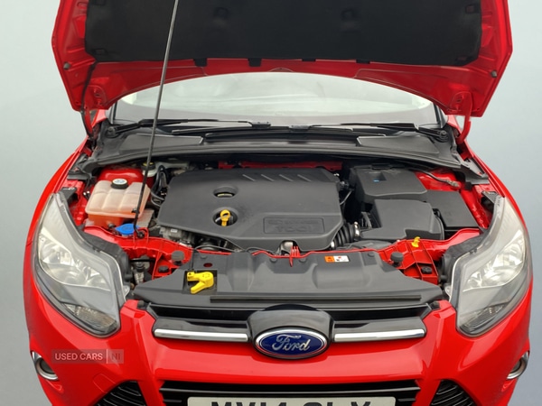 Used Ford Focus 2014 for sale - 77041329: Photo 22