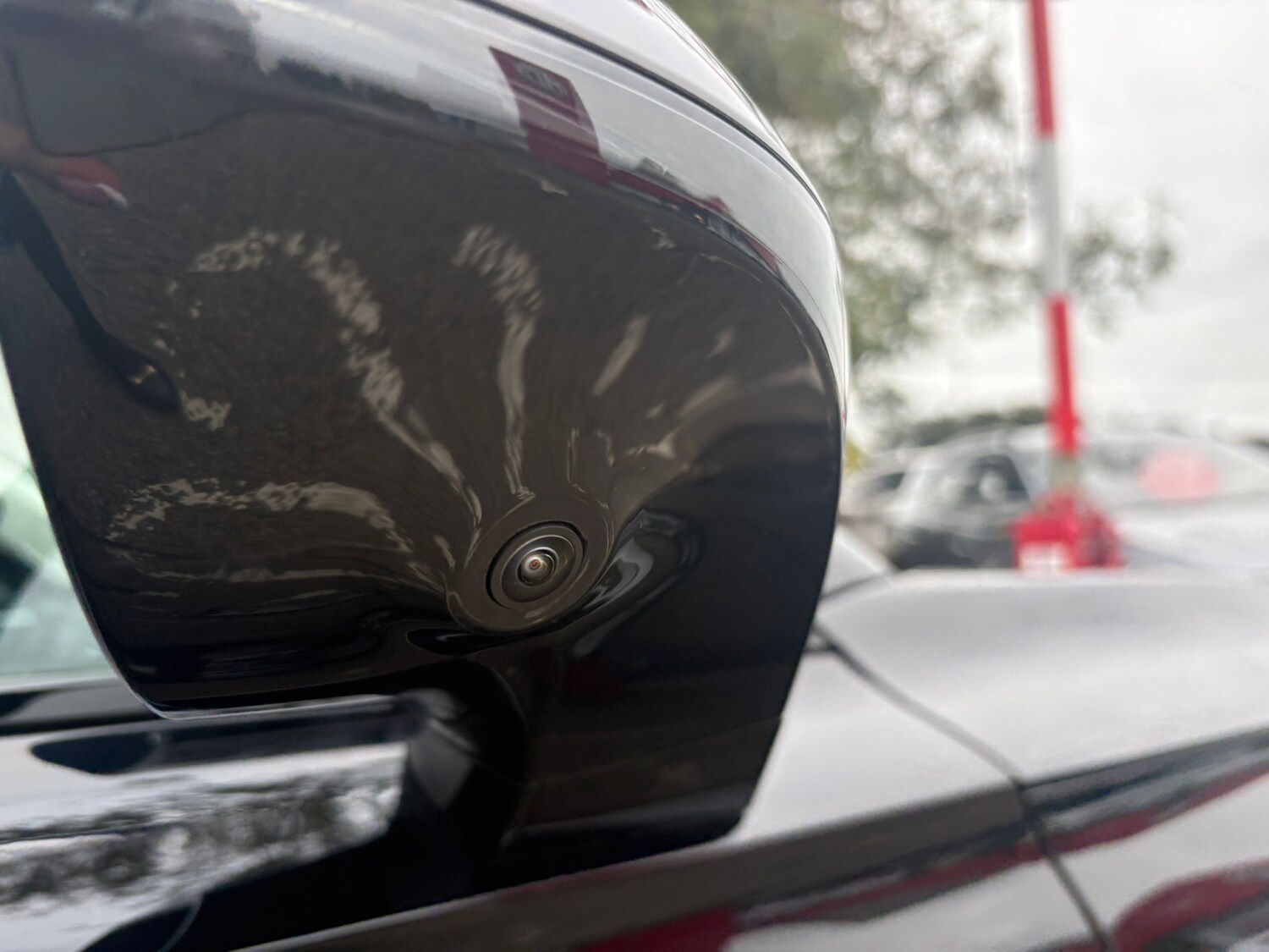 Used MG MG HS 2025 for sale - 76130666: Photo 14