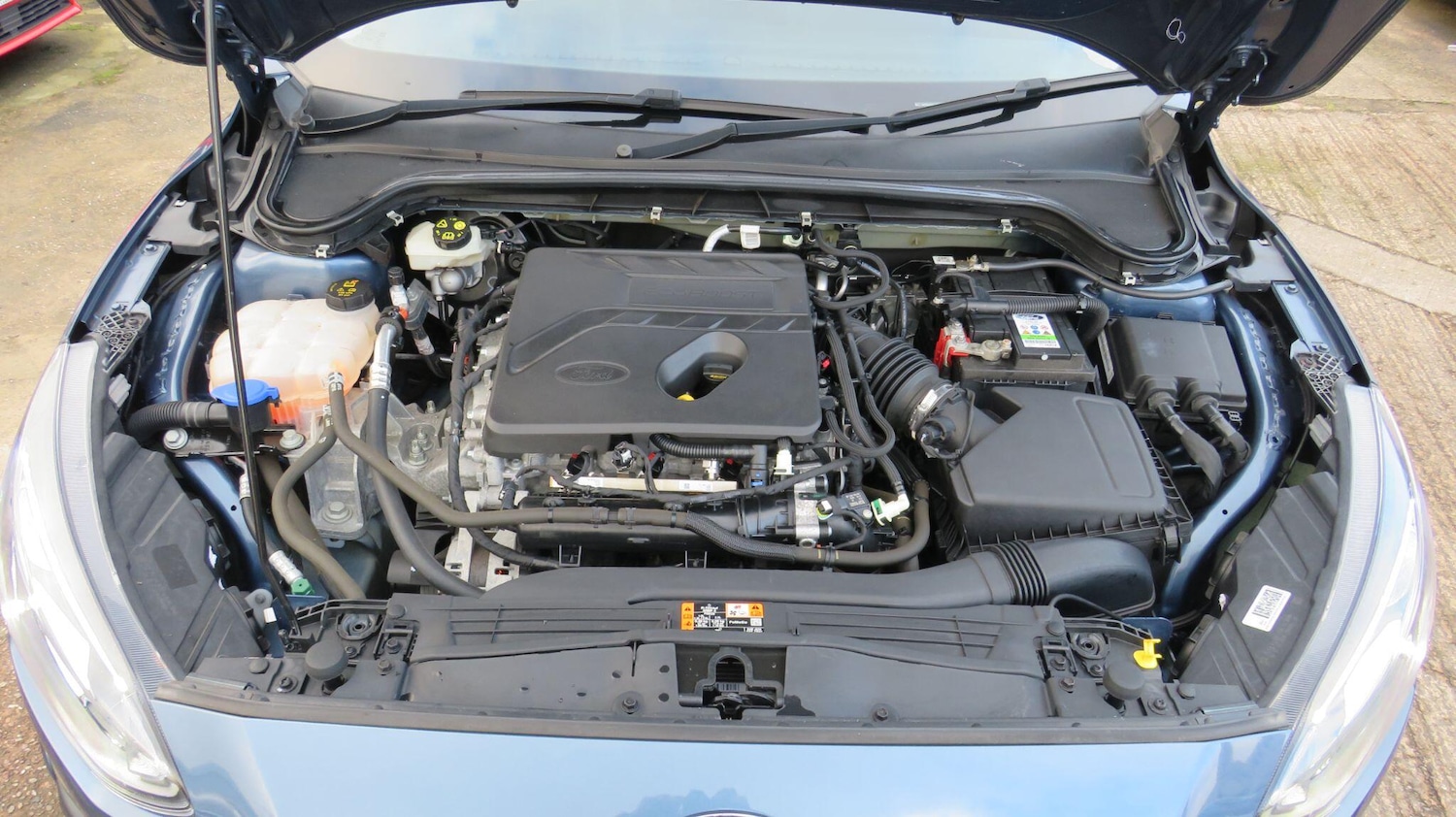 Used Ford Focus 2019 for sale - 77304945: Photo 33