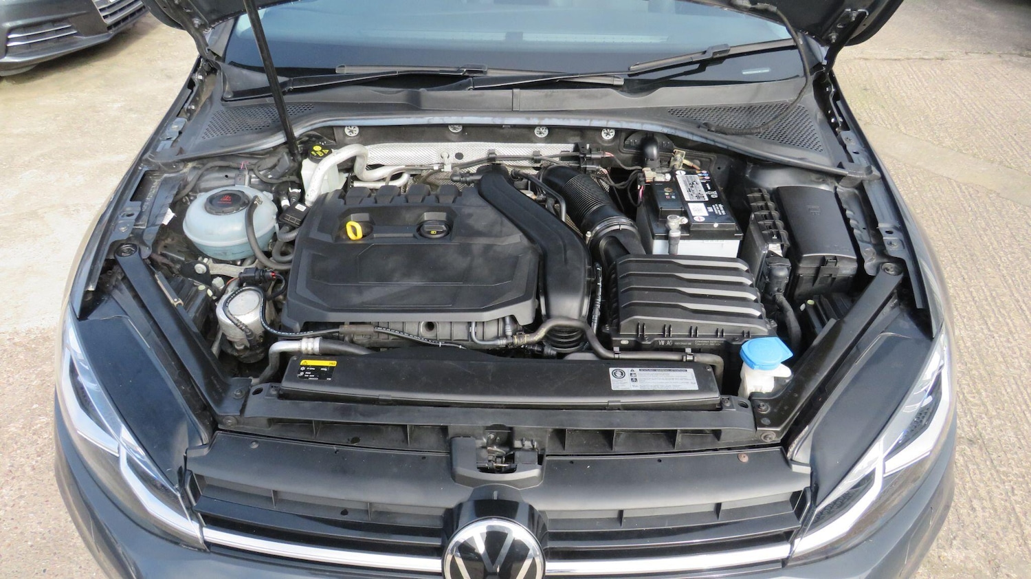 Used Volkswagen Golf for sale - 77808376: Photo 29