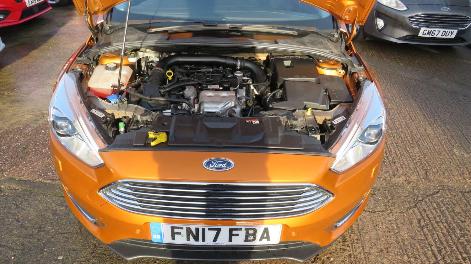 Used Ford Focus 2017 for sale - 76965184: Photo 32