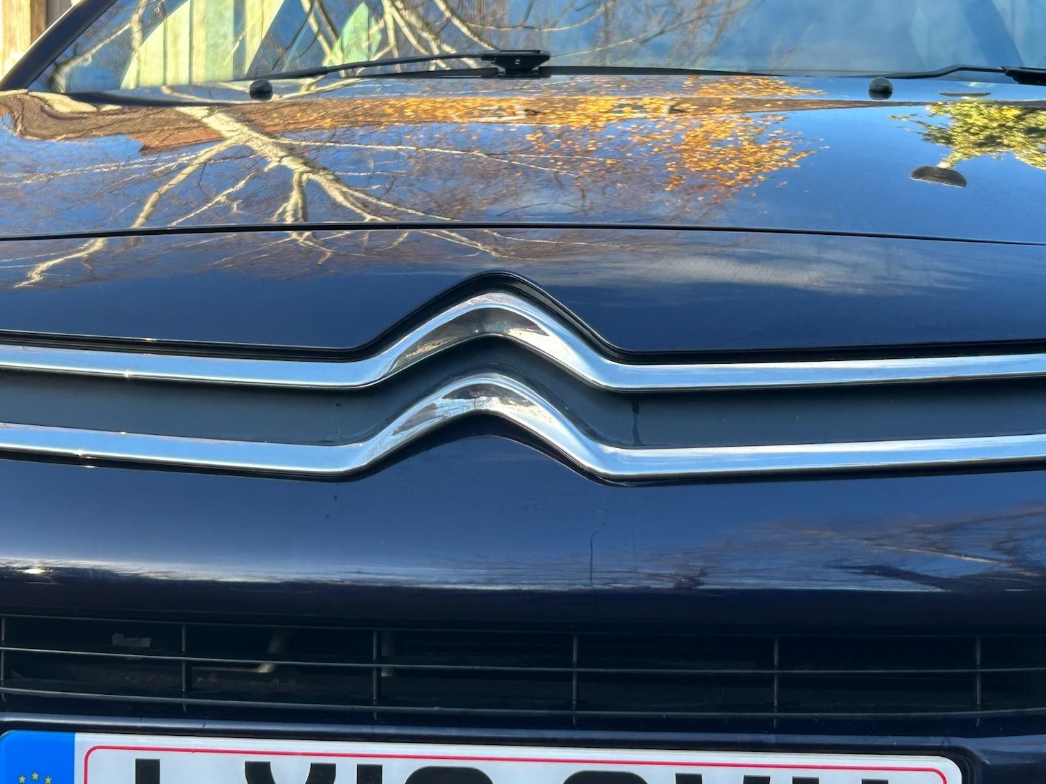 Used Citroen C3 2016 for sale - 76909298: Photo 11