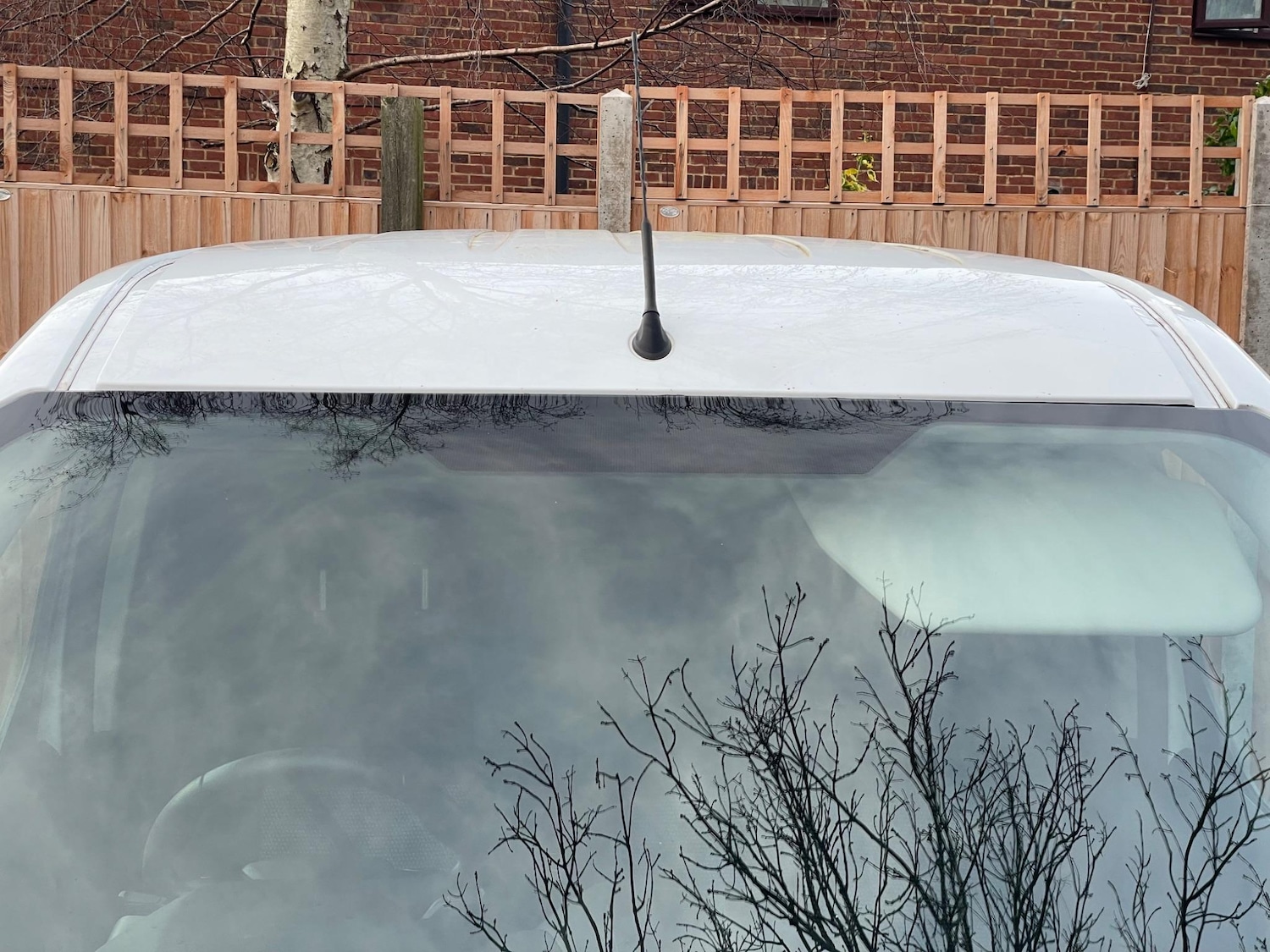 Used Ford Transit Connect 2017 for sale - 77557317: Photo 34