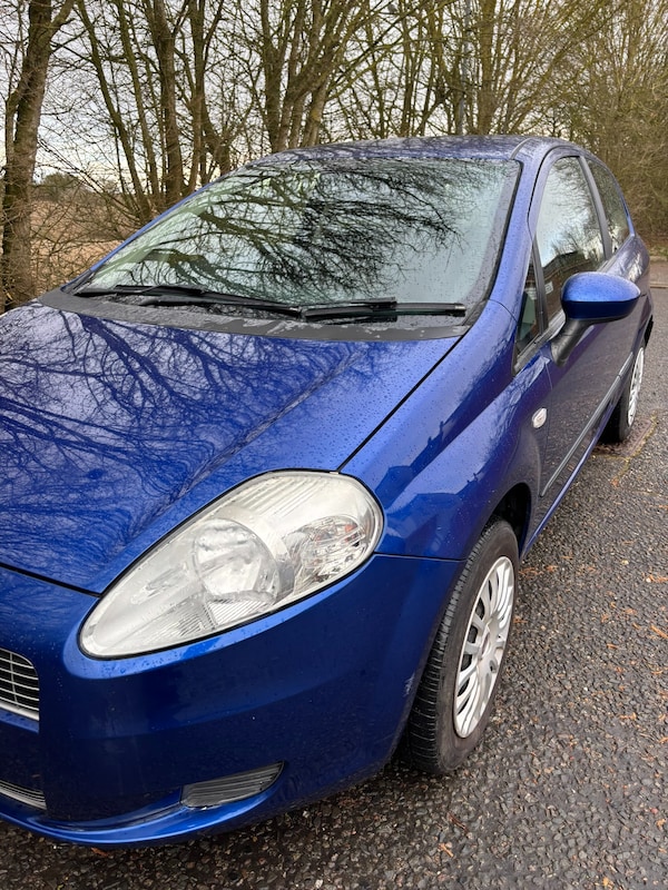 Used Fiat Grande Punto 2009 for sale - 74013331: Photo 3