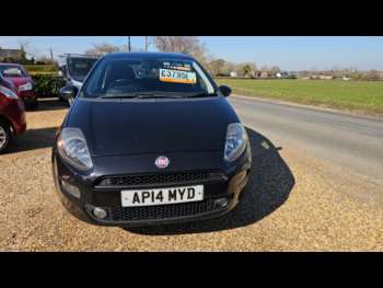 Used Fiat Punto 2014 for sale - 74076618: Photo