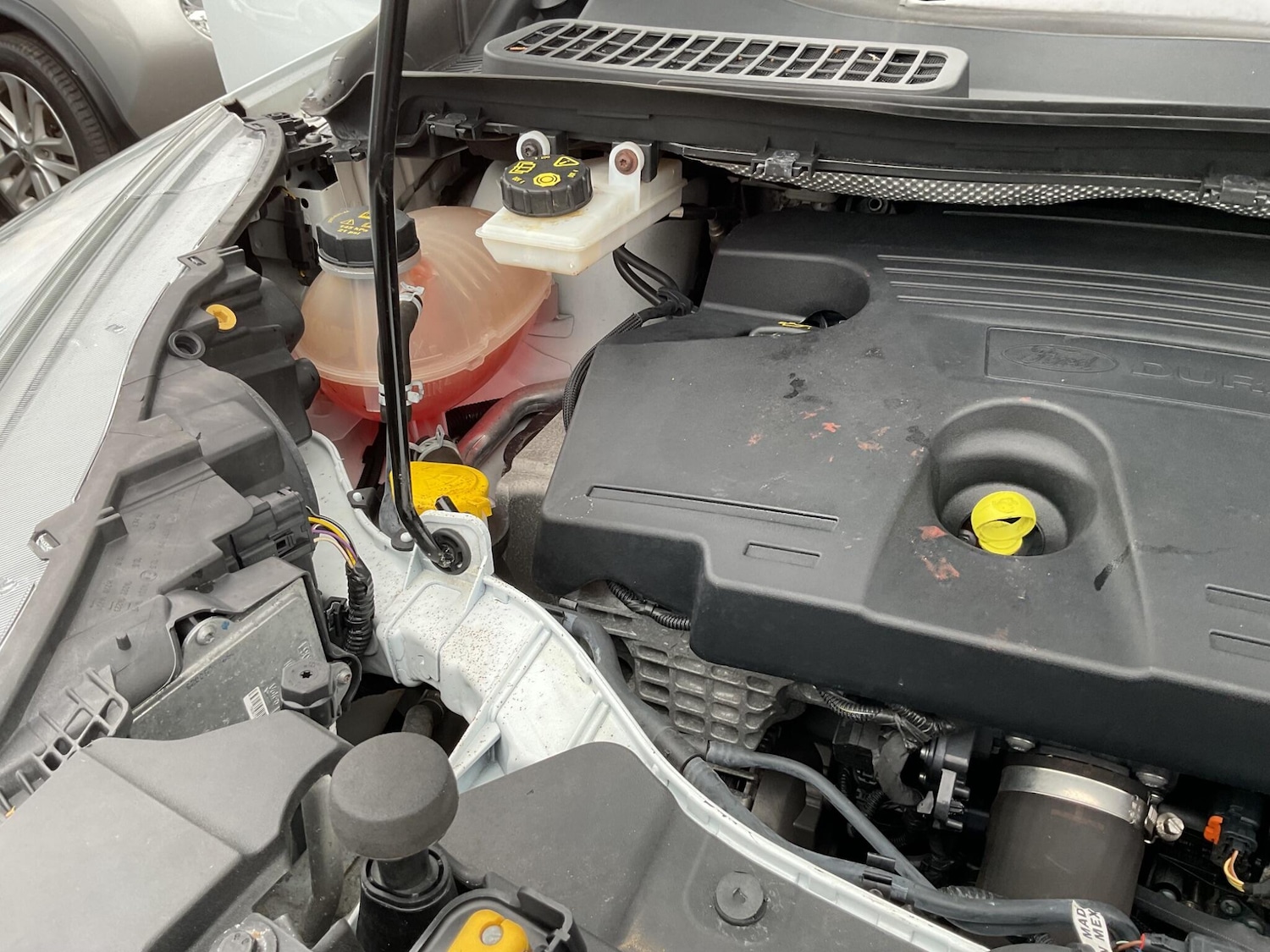 Used Ford Kuga 2019 for sale - 77400615: Photo 37