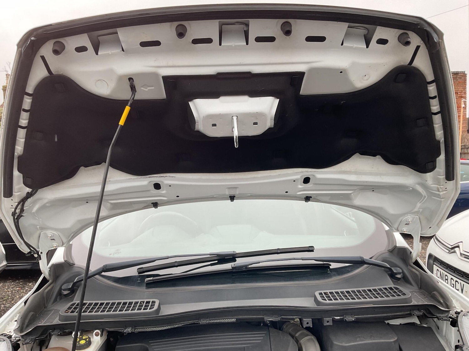 Used Ford Kuga 2019 for sale - 77400615: Photo 57