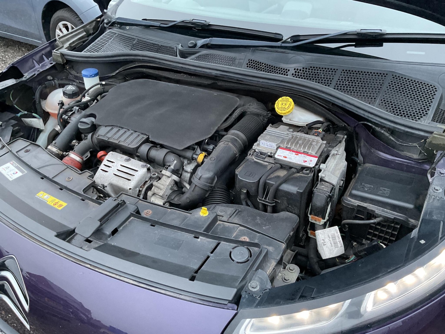 Used Citroen C4 Cactus 2016 for sale - 77331138: Photo 31